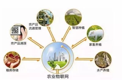 鄉(xiāng)村規(guī)劃設(shè)計(jì)丨中國(guó)農(nóng)業(yè)十大戰(zhàn)略布局 風(fēng)口、獨(dú)角獸與投資熱點(diǎn)深度解析